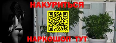 индика Тара