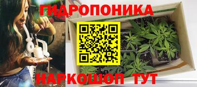 индика Тара