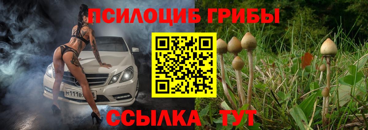 Псилоцибиновые грибы MAGIC MUSHROOMS  Вход с VPN  Муром  Галлюциногенные грибы Cubensis 
