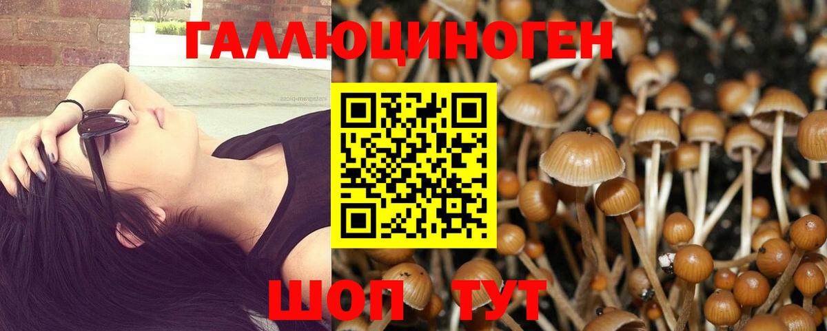 Псилоцибиновые грибы MAGIC MUSHROOMS Муром