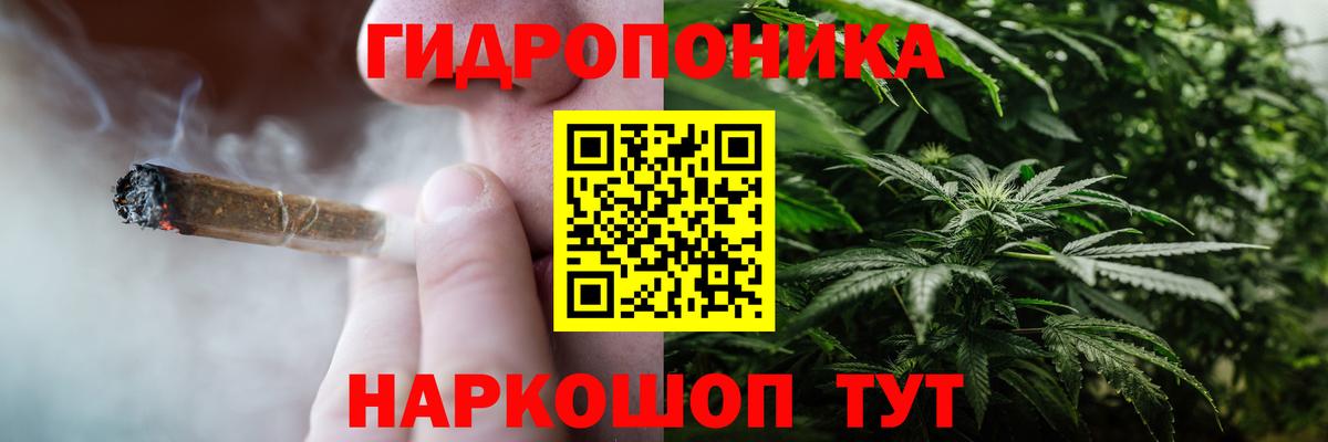 Бошки Шишки планчик  Каннабис THC 21%  Вход с VPN  МАРИХУАНА ГИДРОПОН  Муром 